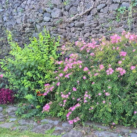 Quinta Da Tilia Boutique Retreat Landhuis Capelas (Sao Miguel)